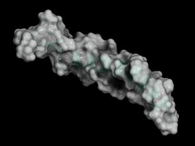 Cover image for research topic "NRPs and RiPPs: Discovery, Structure-Activity Relationship and Molecular Mechanism"