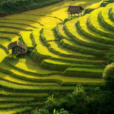 Cover image for research topic "Adaptation Strategies to Climate Change Impacts on Food Systems in Asia: Greater efforts Toward Achieving the Sustainable Development Goals"