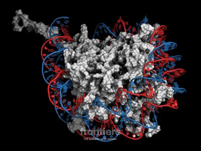Cover image for research topic "Epigenetic Regulation and Therapy Resistance in Cancer"