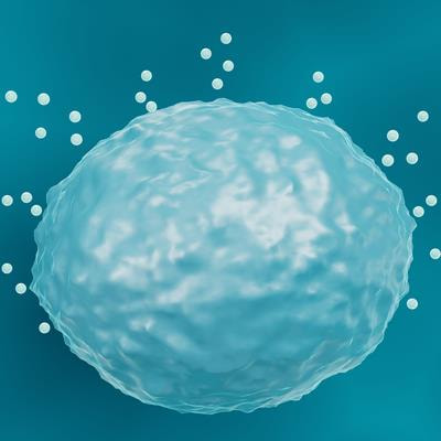 Cover image for research topic "Mast Cells in Health, Disease and Forensic Practice: A Mystery Not Yet Revealed"
