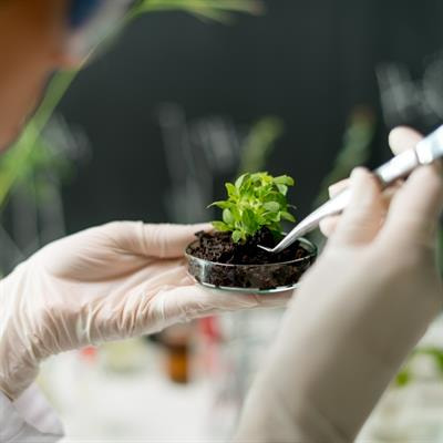 Cover image for research topic "Genome Editing and Biotechnological Advances for Crop Improvement and Future Agriculture"