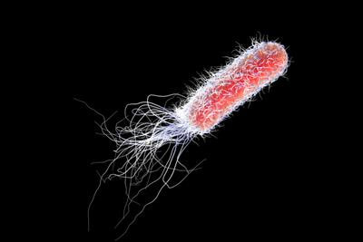 Cover image for research topic "Cellular Nanomotion as a New Signature of Life"