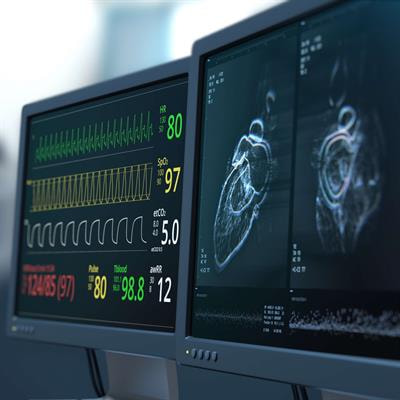 Cover image for research topic "Heart and Vessels: Important Nodes in the Network Inside the Human Body"