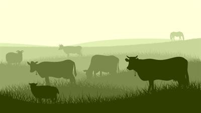 Cover image for research topic "Harm and Benefit of Plant and Fungal Secondary Metabolites in Food Animal Production"