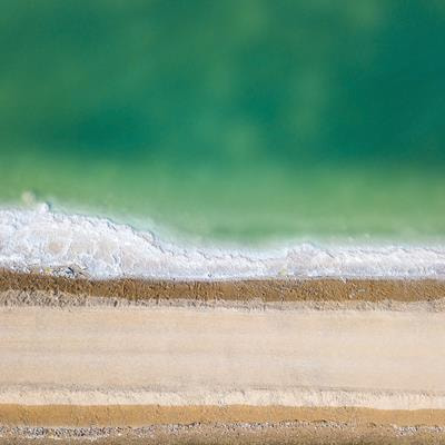 Cover image for research topic "Advances in Estuarine and Coastal Nitrogen Cycle"