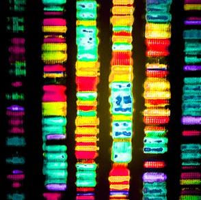Cover image for research topic "Epigenetic Regulation in Cardiovascular Diseases, Volume II"
