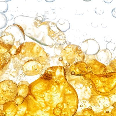 Cover image for research topic "Lipid metabolism in obesity"