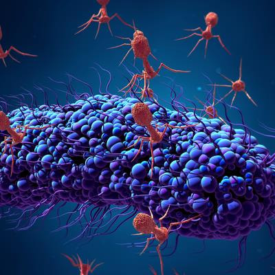 Cover image for research topic "Bacteriophages to Treat Infections with Multidrug Resistant Pathogens"