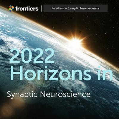 Cover image for research topic "Horizons in Synaptic Neuroscience"