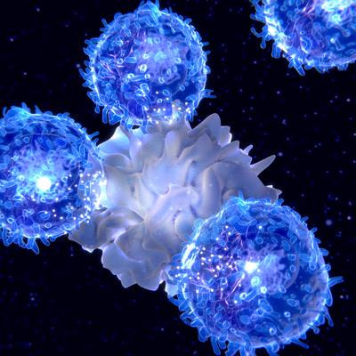Cover image for research topic "Immune Involvement in Recurrent Pregnancy Loss"