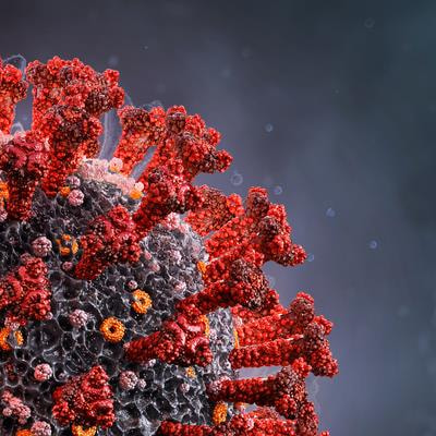 Cover image for research topic "Peptide-Based Immunotherapy Against Emerging Viral Infections"