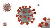 Cover image for research topic "Endocrinology and COVID-19: A Cross-Disciplinary Topic, volume II"