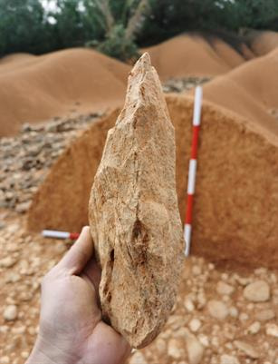 Cover image for research topic "Behaviors and Adaptations of Prehistoric Hunter-Gatherers in the (Sub)Tropical Rainforest Area—Archaeology, Chronology and Paleoenvironment"