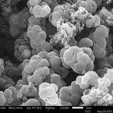 Cover image for research topic "Subsurface Microbiology within Hydrocarbon Resources or Stored Gases"