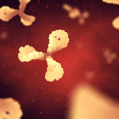 Cover image for research topic "Autoimmunity and Cardiovascular Disease"