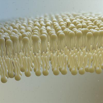 Cover image for research topic "Lipids and Inflammation in Health and Disease, Volume II"