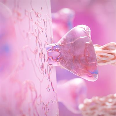 Cover image for research topic "Using Virus Specific-Signatures During Infection to Characterize Host-Pathogen Interactions"