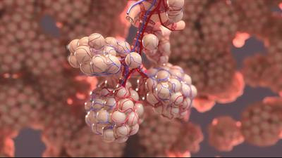 Cover image for research topic "Porcine Respiratory Disease Complex: Dynamics Of Polymicrobial Infections, Synergistic Effects And Management Strategies"