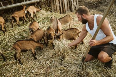 Cover image for research topic "Efforts To Reduce Feed-Food Competition"