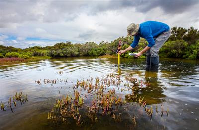 Cover image for research topic "Potential and Limitations of Nature-based Solutions (NbS) to Global Water Challenges"
