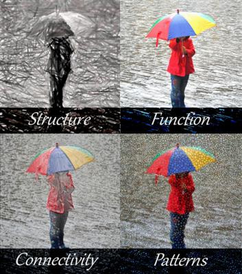 Cover image for research topic "Advanced neuroimaging methods for studying autism disorder"