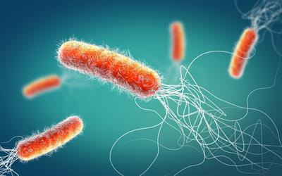 Cover image for research topic "Single-cell Tools to Combat Antimicrobial Resistance"