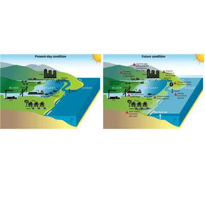 Cover image for research topic "Understanding Coastal Estuaries and Wetlands Modelling and Management Requirements under Climate Change Effects"