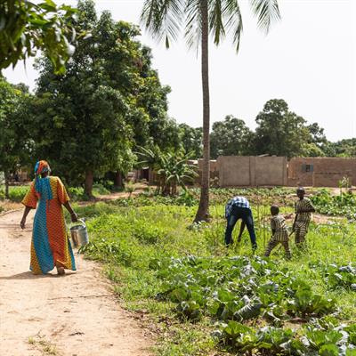 Cover image for research topic "Nutrition and Sustainable Development Goal 10: Reduced Inequalities"