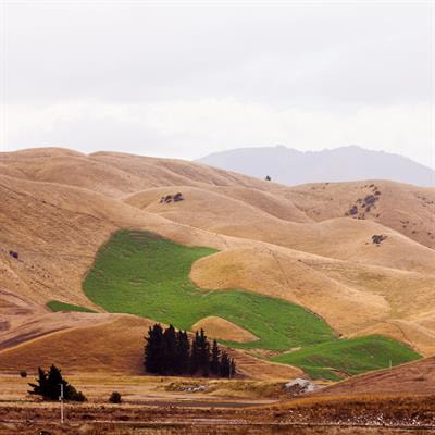 Cover image for research topic "Carbon and Nitrogen Cycling in Grassland Ecosystems"