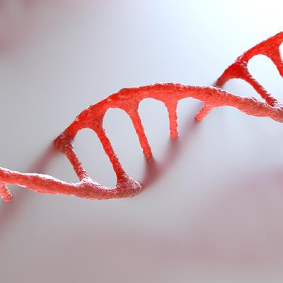 Cover image for research topic "Clinical Implementation of Genetic Risk Scores in Cardiovascular Medicine"