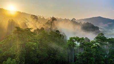 Cover image for research topic "Conservation Dialogues"