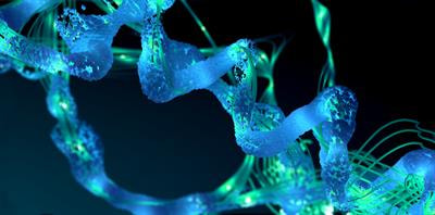 Cover image for research topic "Omics-based identification, characterization, and validation of marine bioactive peptides"