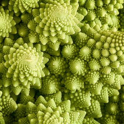 Cover image for research topic "Research on Brassicaceae Crops Genomics and Breeding"