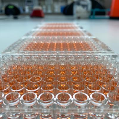 Cover image for research topic "Computational Chemogenomics: In silico tools in pharmacological research and drug discovery"