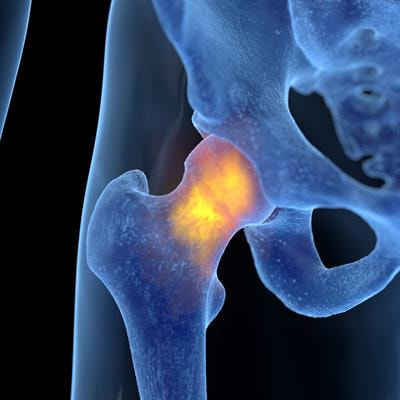Cover image for research topic "New Insight on Development and Degeneration of Bone and Cartilage: Molecular Mechanisms and Translational Medicine"