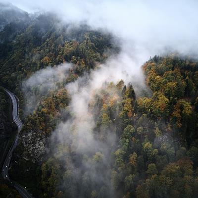 Cover image for research topic "Resolving Atmospheric Flow in Complex Environments: Recent Experiments in Terrain and Forest Canopies"