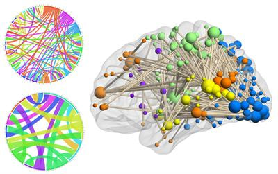 Cover image for research topic "Functional connectome beyond fMRI: methodology and application"