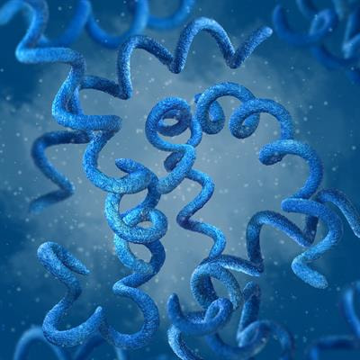 Cover image for research topic "Metagenomic Surveillance and Epidemiology of Clinically Opportunistic Pathogens"