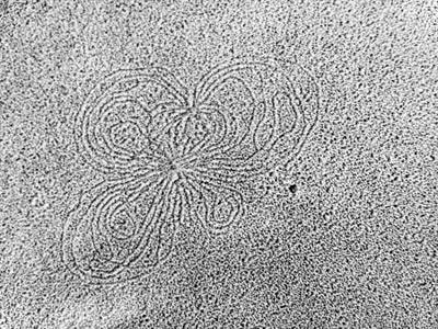 Cover image for research topic "Chromosome Architecture and DNA Topology in Prokaryotes"