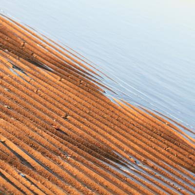Cover image for research topic "Microbial Diversity and Resources in Tidal Flats"
