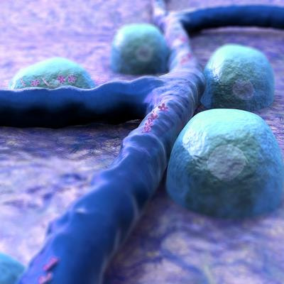 Cover image for research topic "Rescuing Pancreatic Beta Cells to Treat Diabetes: Strategies and Hurdles"