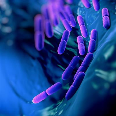 Cover image for research topic "Bacterial Transcription Factors and the Cell Cycle, Volume II"