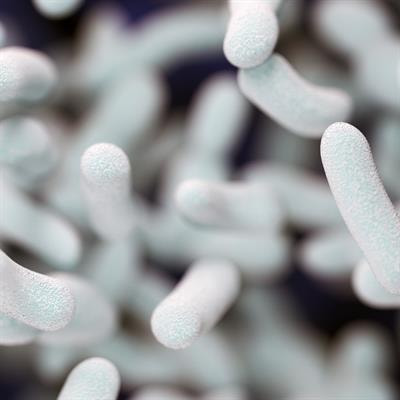 Cover image for research topic "The Role of Microbiome in Sustainable Agriculture"