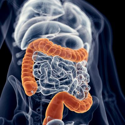 Cover image for research topic "Pathogenesis, Diagnosis, and Treatment of Ulcerative Colitis"
