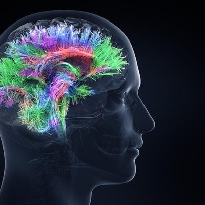 Cover image for research topic "Reviews in Psychiatry 2022: Neuroimaging"