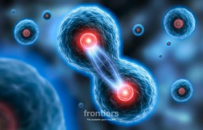 Cover image for research topic "Ginsenosides: Exploring Their Pharmacodynamic Potential and Pharmacokinetics as Adjuvant Medicines"