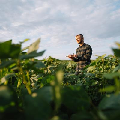 Cover image for research topic "Integrated nutrients management: An approach for sustainable crop production and food security in changing climates"