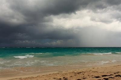 Cover image for research topic "Macroecology of Coastal Zone under Global Changes"