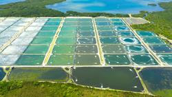 Cover image for research topic "Aquaculture Environment Regulation and System Engineering"