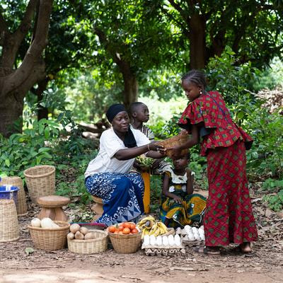 Cover image for research topic "How Do Forest Management Cooperatives Impact Ecosystems and People?"